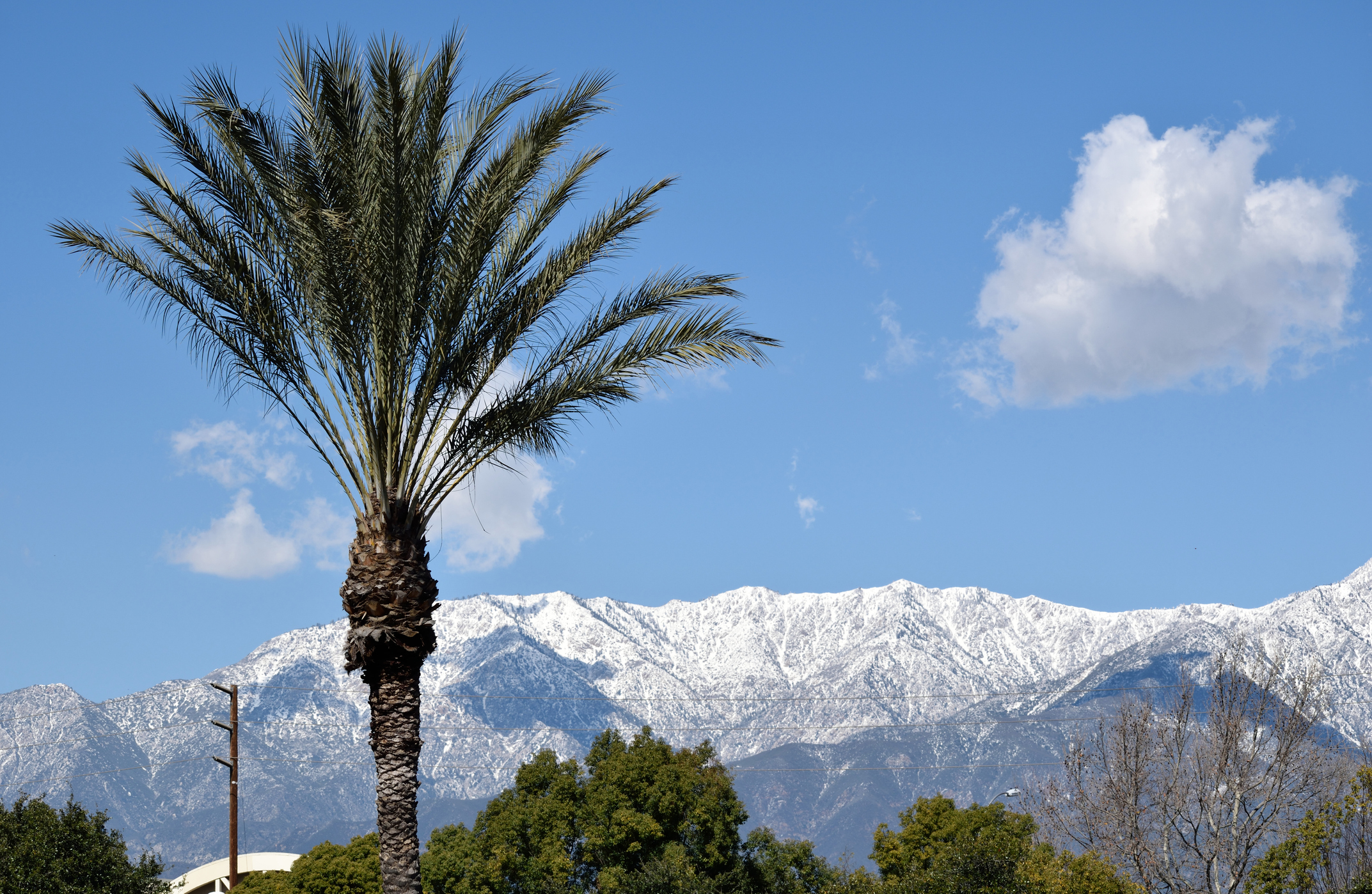 Advanced Institute for Plastic Surgery serving Ontario, California